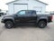 2019 Chevrolet Colorado 4WD ZR2 ZR2 Bison Edition